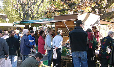 Wochenmarkt auf dem Kirchplatz 